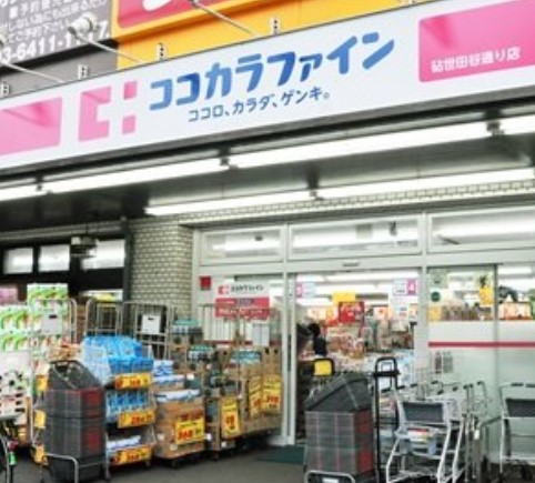 セボンヴェルディア二子玉川 ドラッグストア