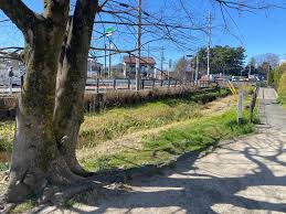 セボンヴェルディア二子玉川 公園