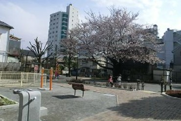 スターロワイヤル下馬 公園