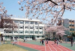 戸山マンション 小学校