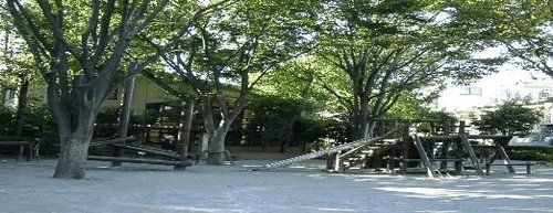 パセオ杉並 公園