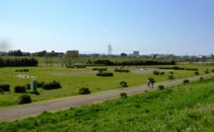 ライオンズガーデン尾山台 公園