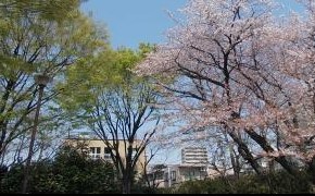 グランドメゾン長原 公園
