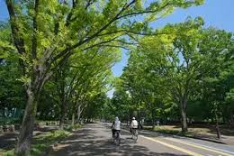 プレシス駒沢 公園