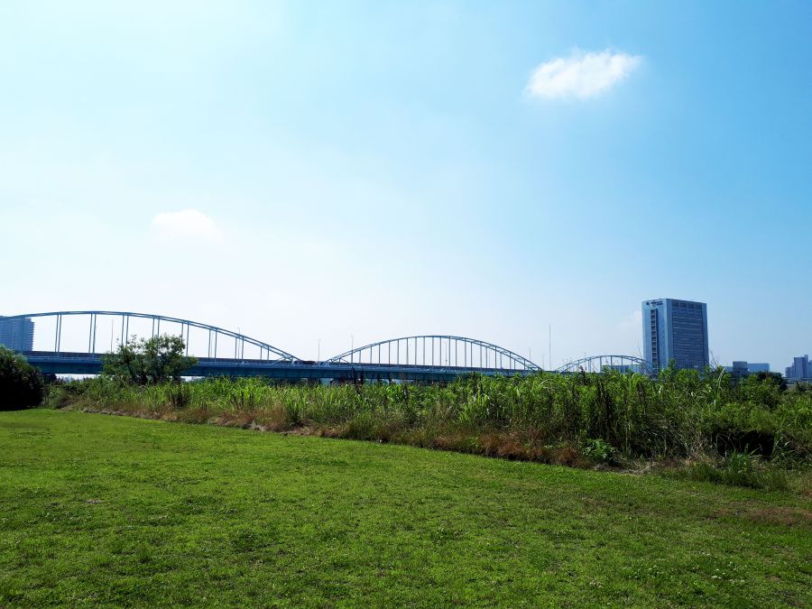 東急ドエルアルス多摩川 公園