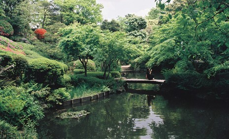 藤和高輪台コープ 公園
