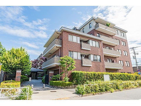 碑文谷ヒルズサレジオ通り 現地写真