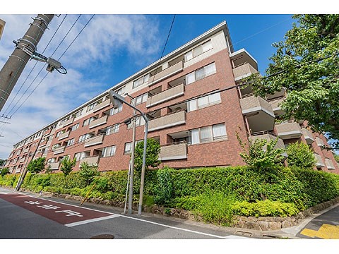 碑文谷ヒルズサレジオ通り 現地写真
