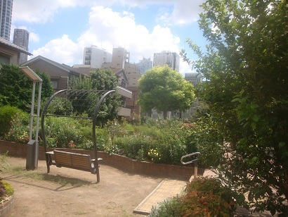 エクセルシオール西新宿 公園