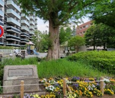 ライオンズステーションプラザ用賀 公園