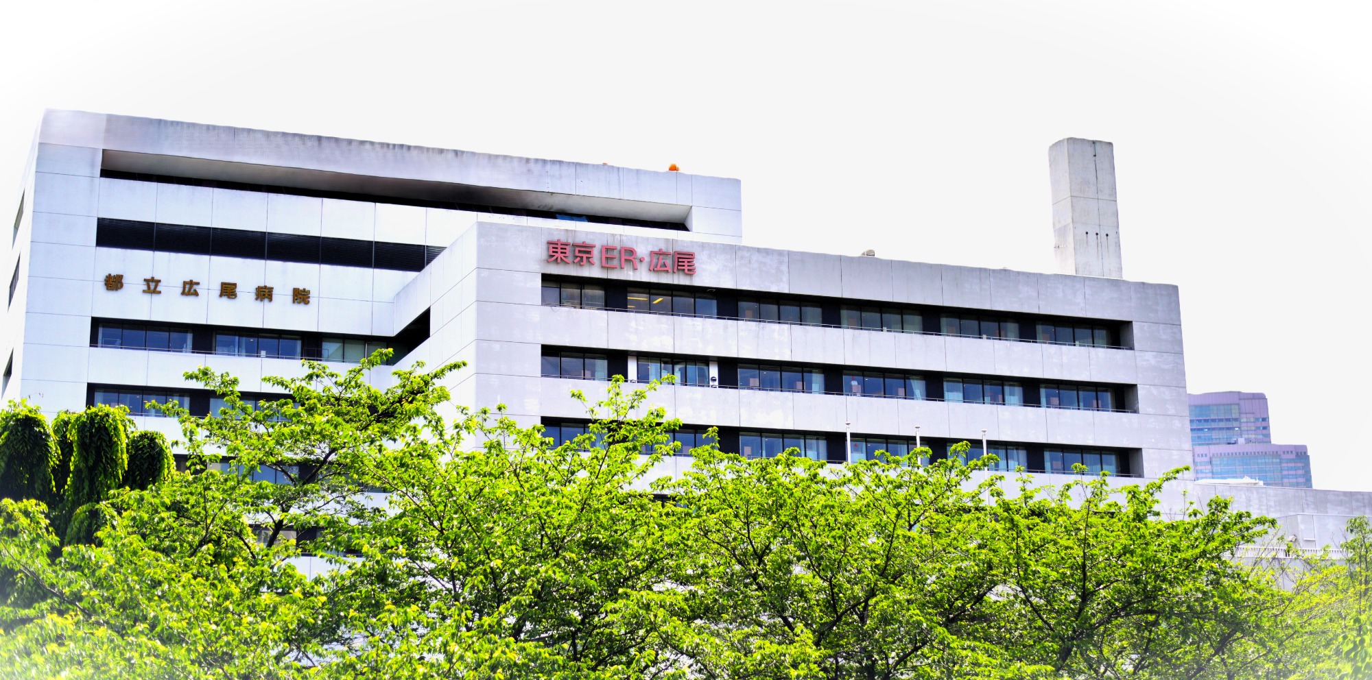 ルモンド恵比寿 総合病院
