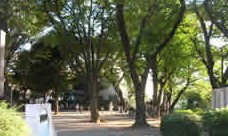 クレッセント祐天寺 公園