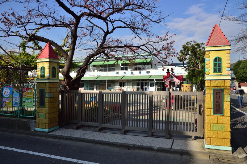 ライオンズマンション大鳥居第２ 幼稚園
