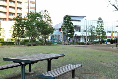 芝浦アイランドグローヴタワー 公園