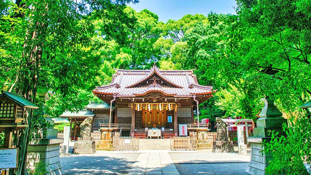 代々木コンド その他