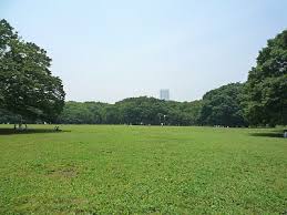 代々木コンド 公園