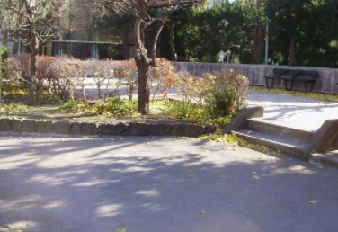 クレッセント蒲田Ⅲ 公園