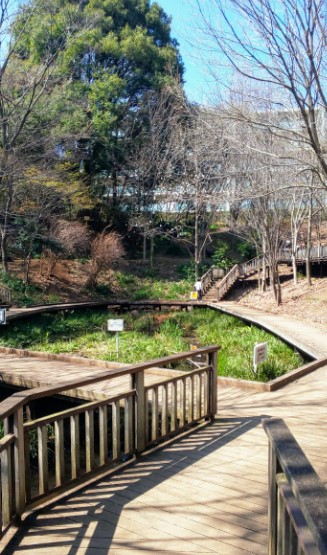 サンクタス鷺沼プライベートヒル 公園