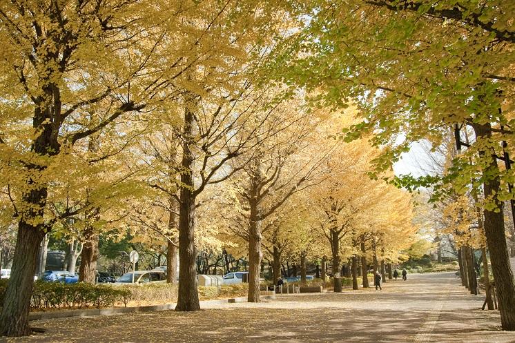 サンクタス城北中央公園 公園