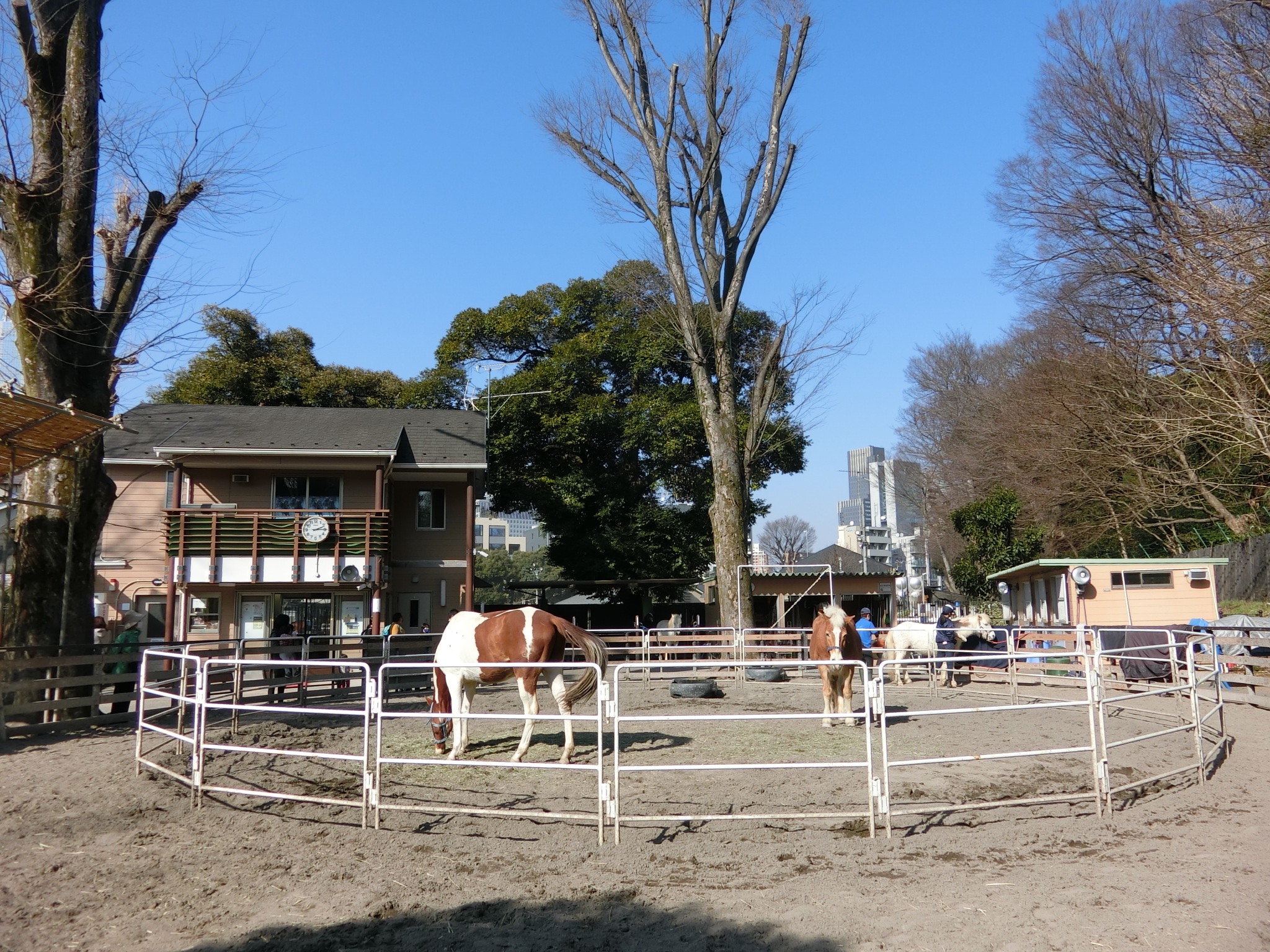 コスモヒルズ代々木 公園