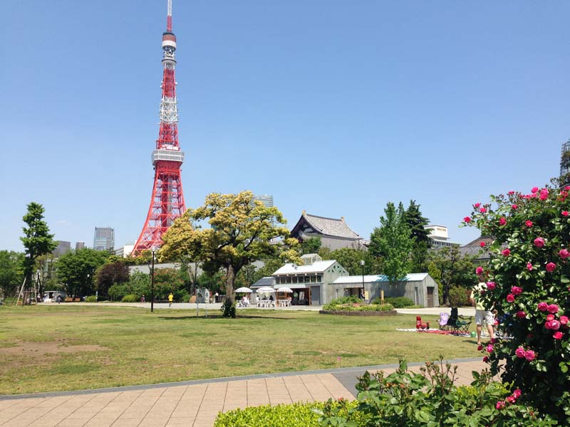 ルピナス麻布シティフォルム 公園