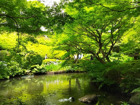 ライオンズプラザ池田山 その他