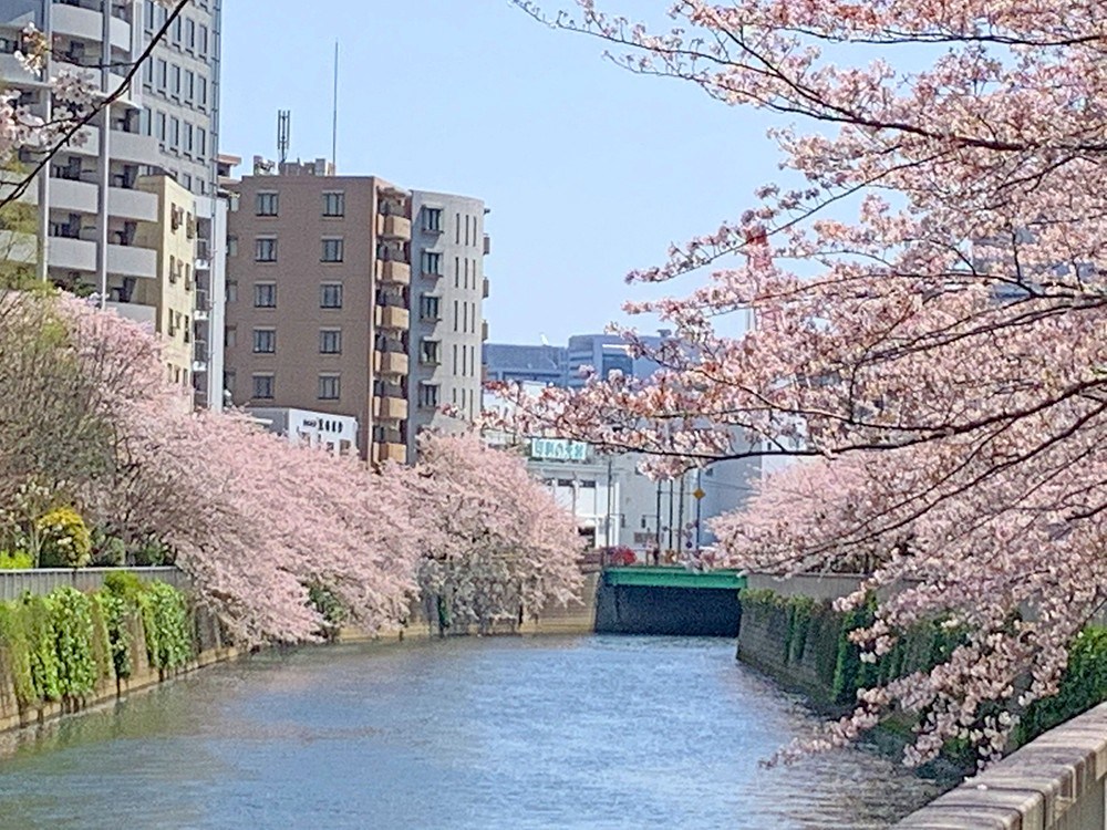 ライオンズプラザ池田山 その他