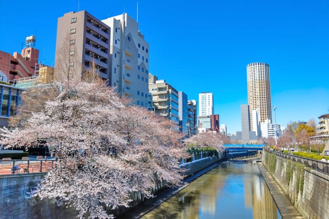 中目黒マンション その他