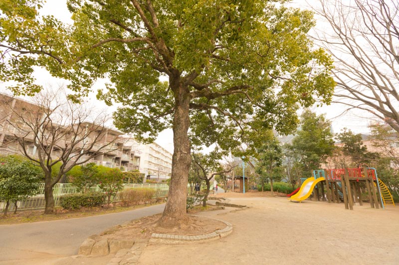 テラス久我山 公園