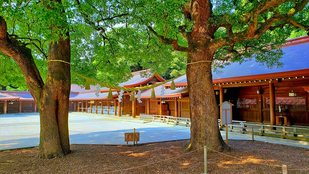 朝日プラザ代々木山手 その他