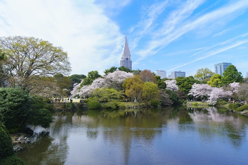 サンサーラ第4御苑 その他