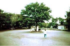 パシフィック目白マンション 公園