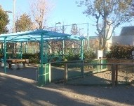 代々木ハビテーション 公園