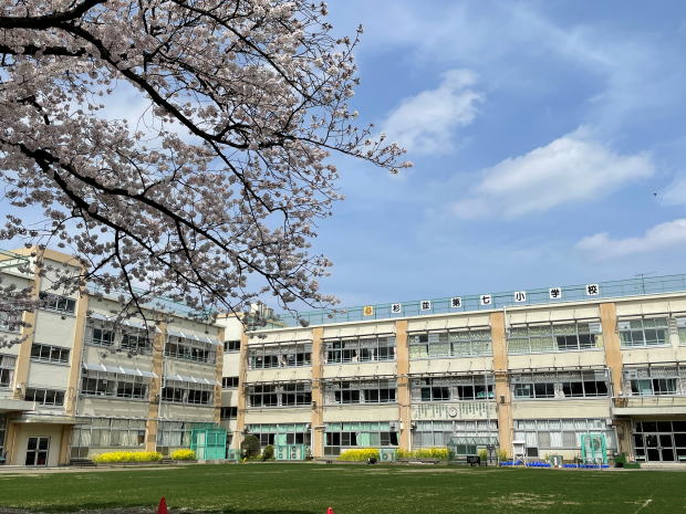 プロステージ阿佐ヶ谷 小学校