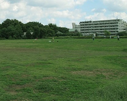 中野公園ハイツ 公園