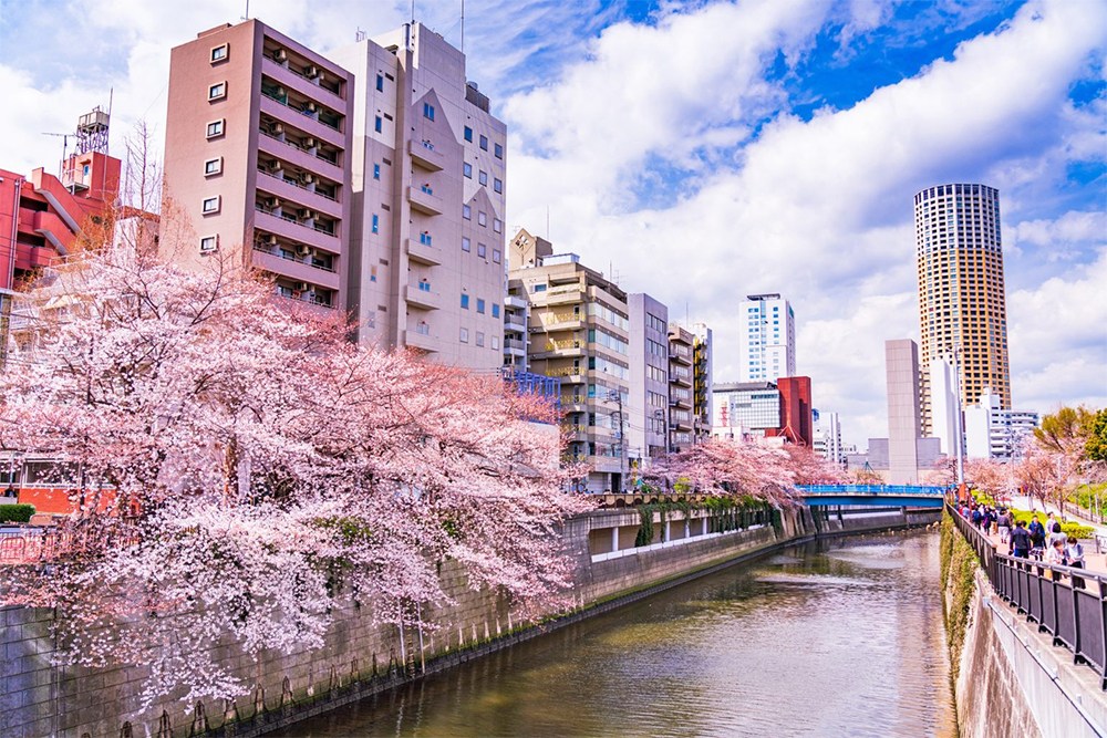 サンサーラ東山 その他
