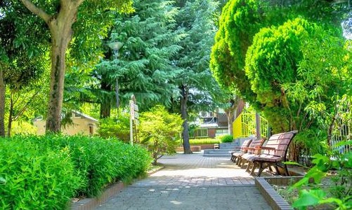 シャンボール南中野 その他