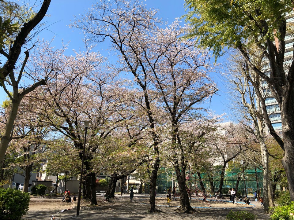 トーア大森マンション 公園