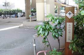 サンヴェール日本橋水天宮 公園