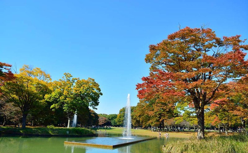 クレヴィア渋谷富ヶ谷 その他
