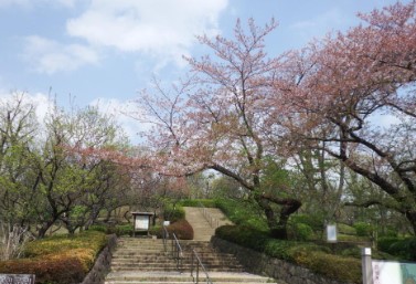 デュオステージ下北沢 公園