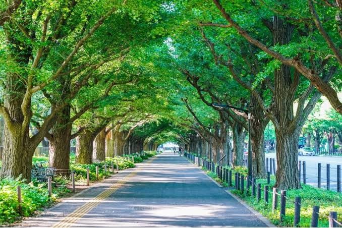 ファミールグラン神宮外苑前 その他