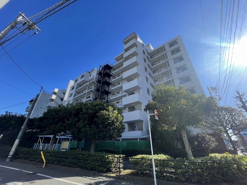 ライオンズマンション上野毛Ａ棟 現地写真