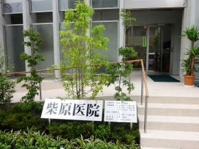 ルネ・上野桜木 総合病院