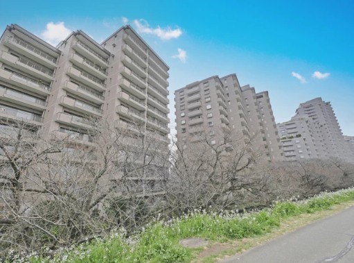 パークハウス多摩川南３番館 現地写真