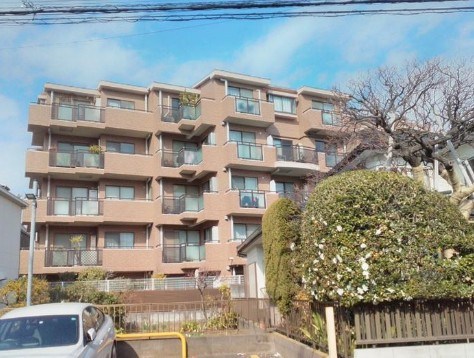 朝日クレスパリオ仲池上 現地写真