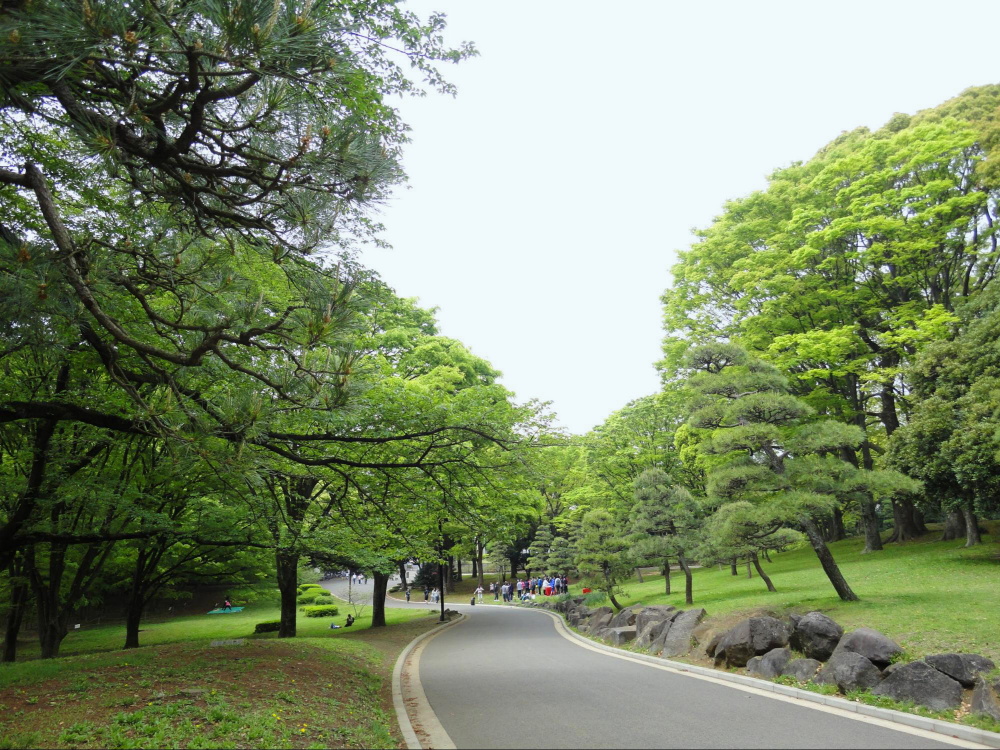 宮益坂ビルディング　ザ・渋谷レジデンス 公園