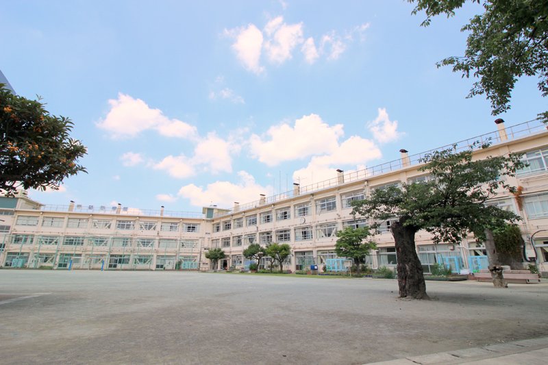 ハイホーム砧公園 小学校