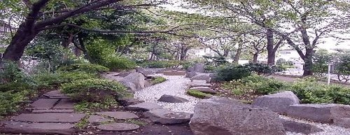 桜上水南パークハウス 公園