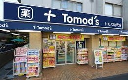 ライオンズマンション駒沢 ドラッグストア
